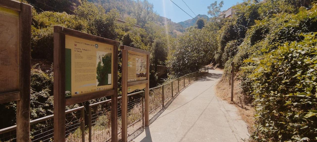 קאסורלה Alojamientos Puerta Del Parque מראה חיצוני תמונה
